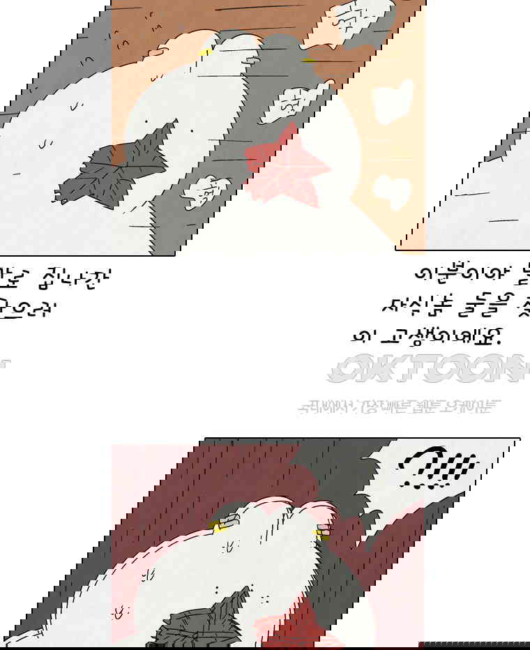 1730238768560ospszn89swn.jpg