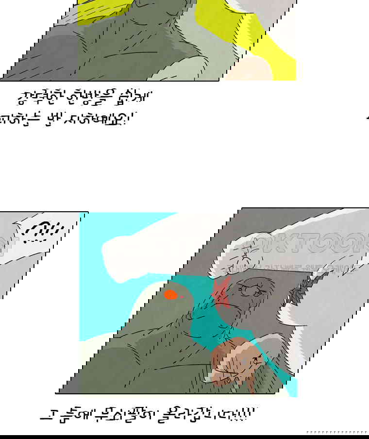 17302388612635l519nqsnr.jpg