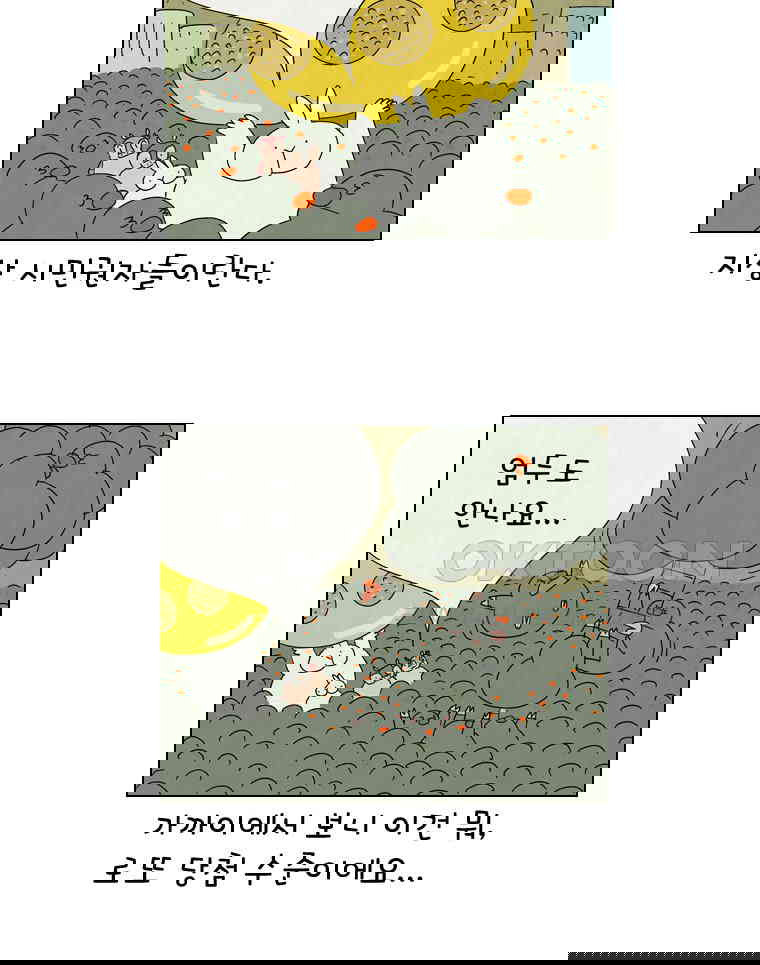 1730239325962fperybalflq.jpg