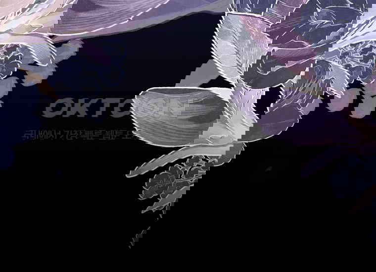 17303635077448i0ghcc4oic.jpg