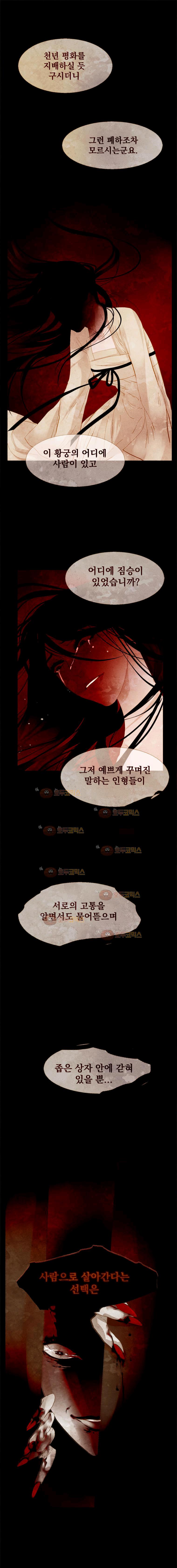 17312093294617qinpmi55ou.jpg