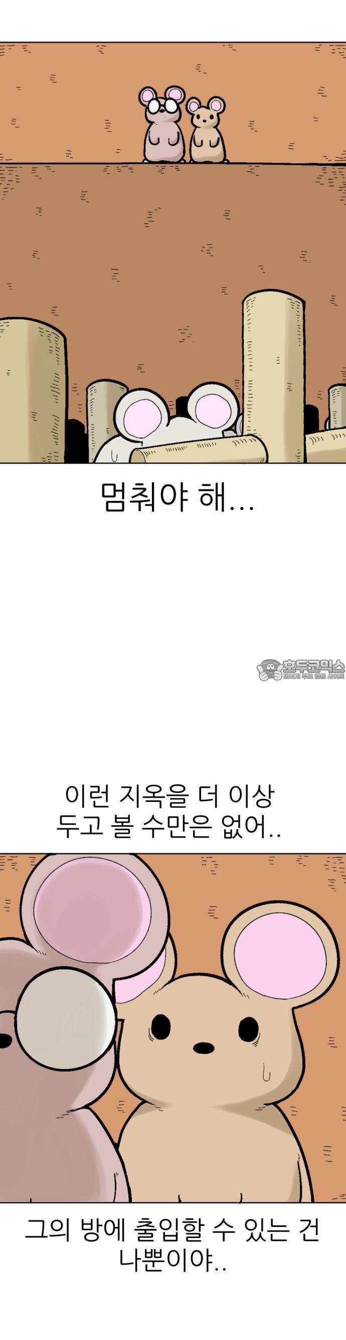 173144838037733w31co8iam.jpg