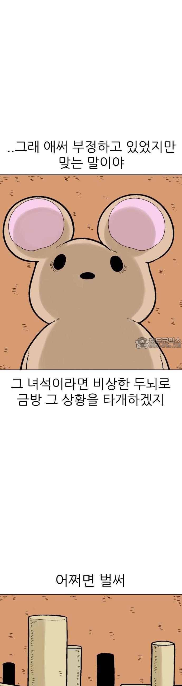 1731448393090a3egsyukfj.jpg