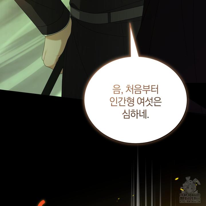 173189140384688zzrc391lg.jpg