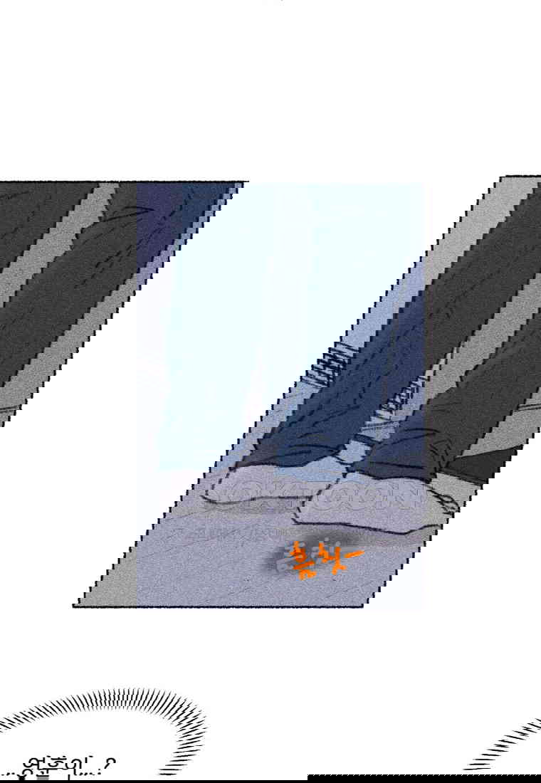 1730556469617b613eb9mktu.jpg