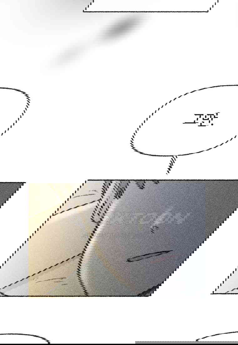 17305564778554cn8dfi8lzn.jpg