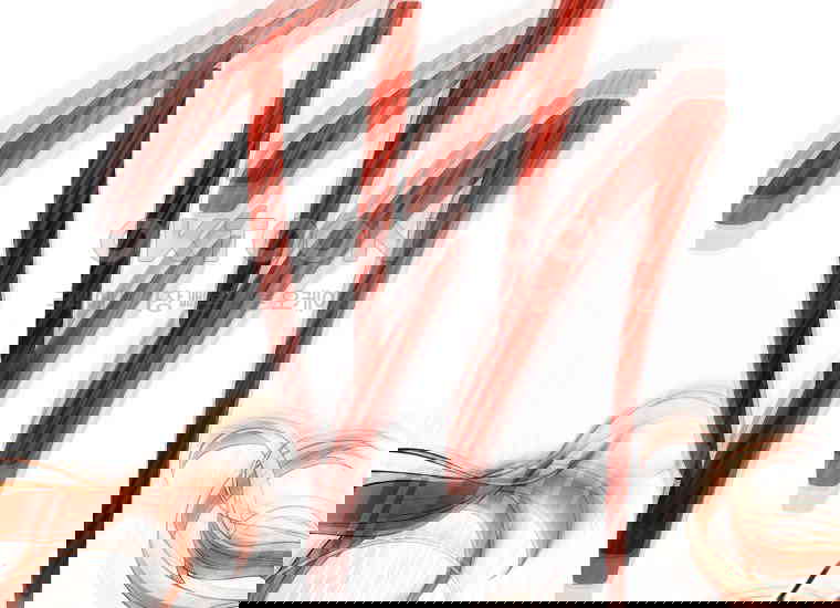 17305563672666uplyxmixjh.jpg