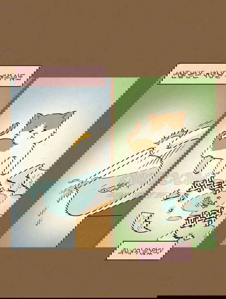17304986719343vf84htpnlo.jpg