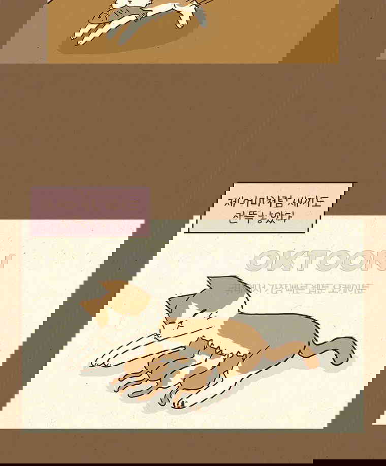 173049867592172svzg2y51g.jpg