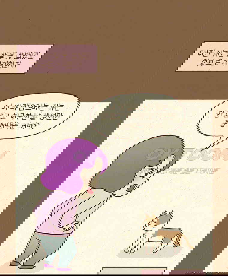 173049867607664f3548ej9.jpg