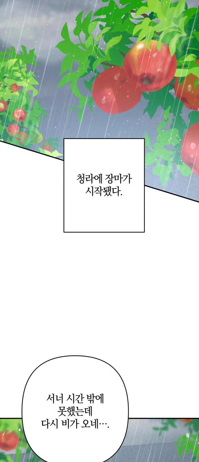 17322101462613xakq5pwg2.jpg