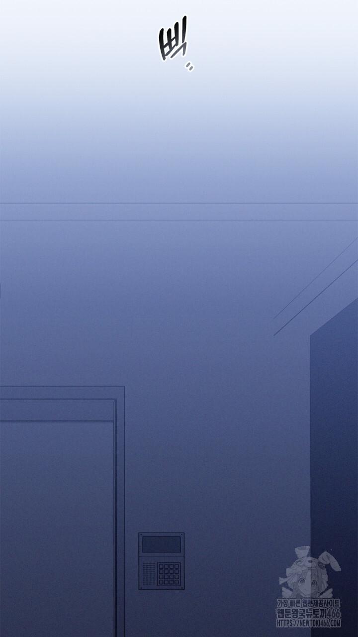 1732808446156sekn43kmlcj.jpg