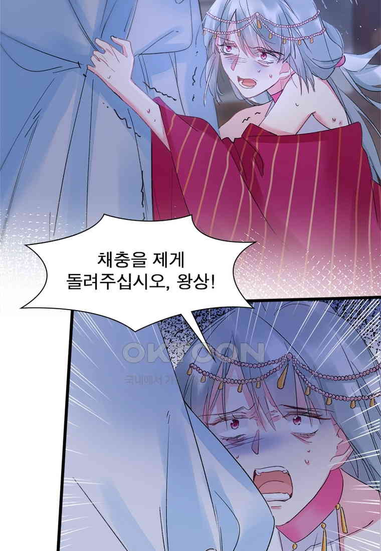 17305600147237wu8ohzioyo.jpg