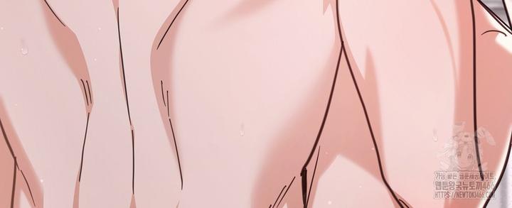 1732957514919chi8hies8c.jpg
