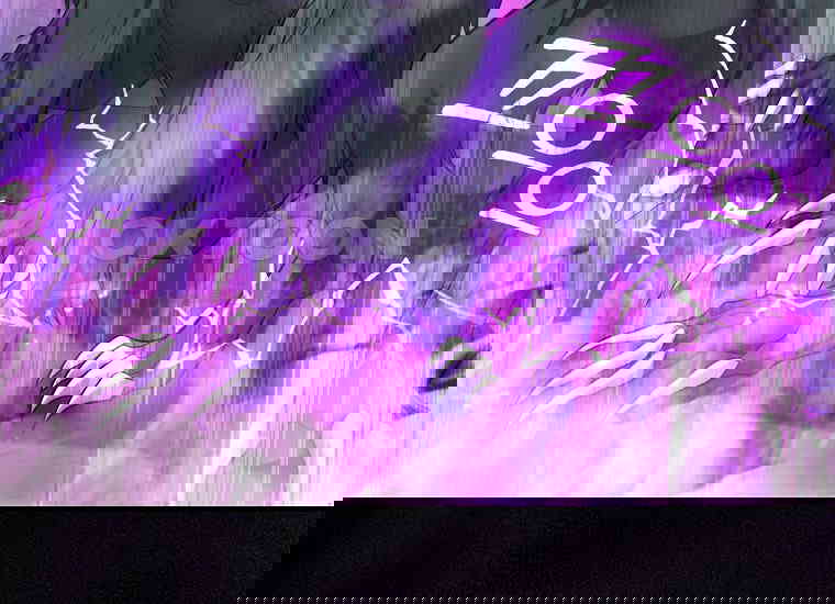 1730750192990r0ycaci0vw.jpg