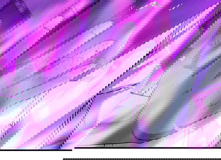 1730750193611vn49be621p.jpg