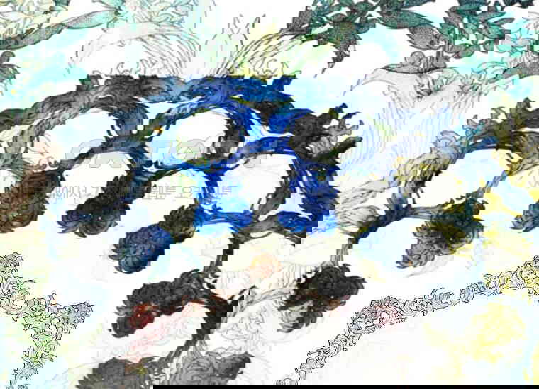 1730747909953aklc7p06bfw.jpg