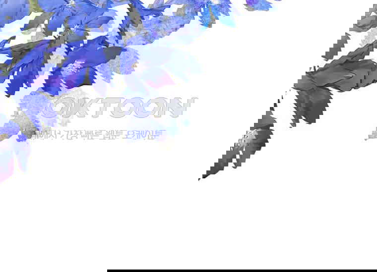 1730747921926l2rcqvhv25.jpg