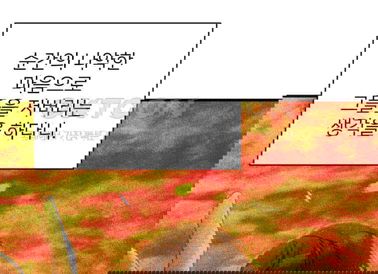 1730843455499zkhn9pkj68k.jpg