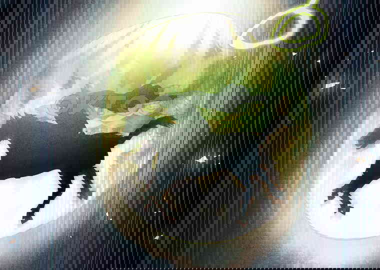 1731037541765brln848tsek.jpg