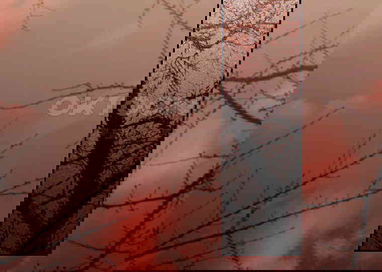 1731037619881bcqaw6caeeg.jpg