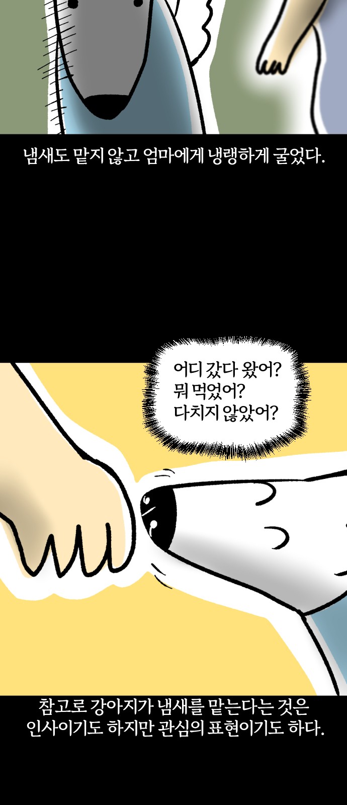 1731014602773fpiujfmiiyi.jpg