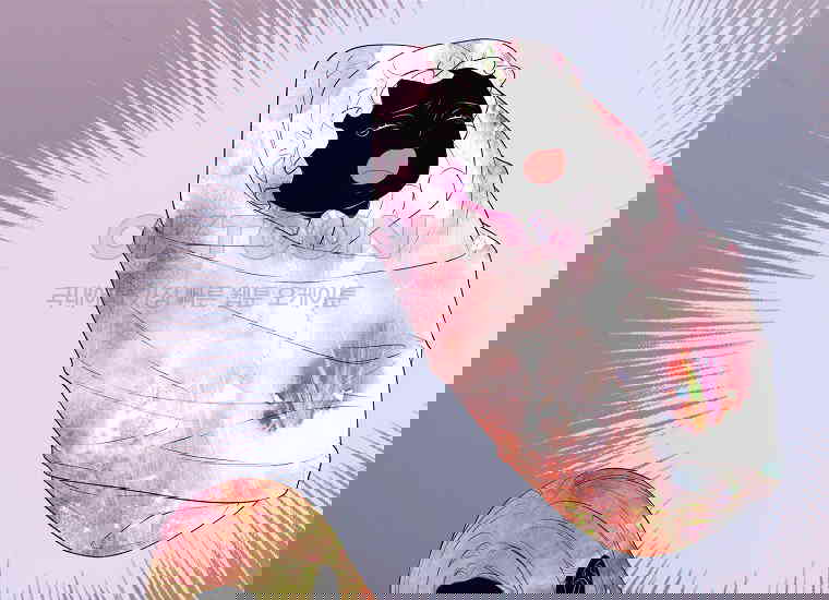 17310983402774m7xd2er2mv.jpg