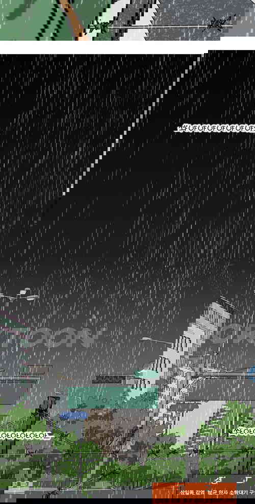 17311481071112228wvfywbp.jpg