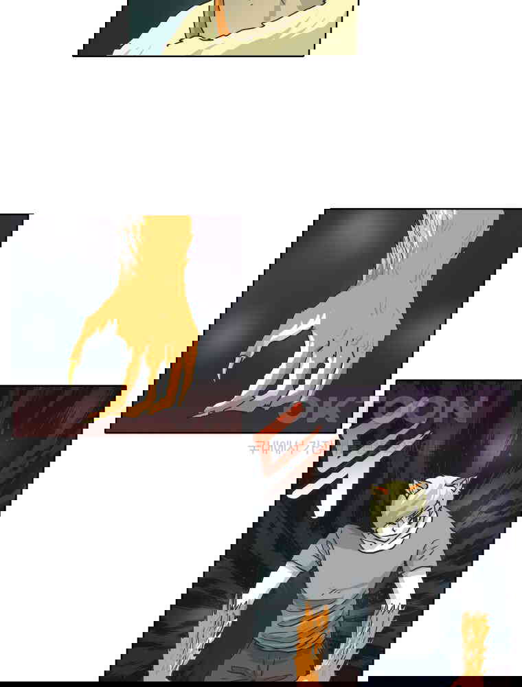 1731148159521kpk86wvaiia.jpg