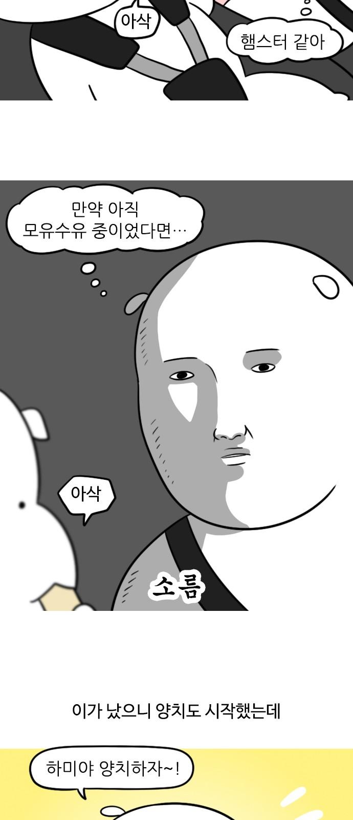 1733023730556r13jo0pz5sd.jpg
