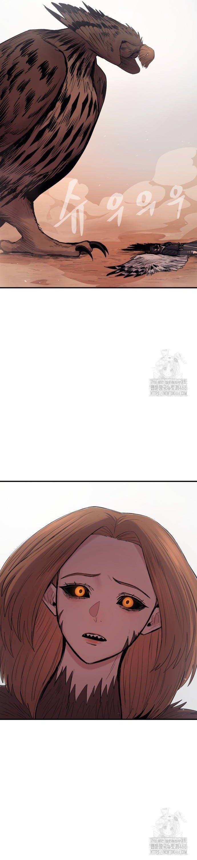 1734046643335zaz22zzoops.jpg