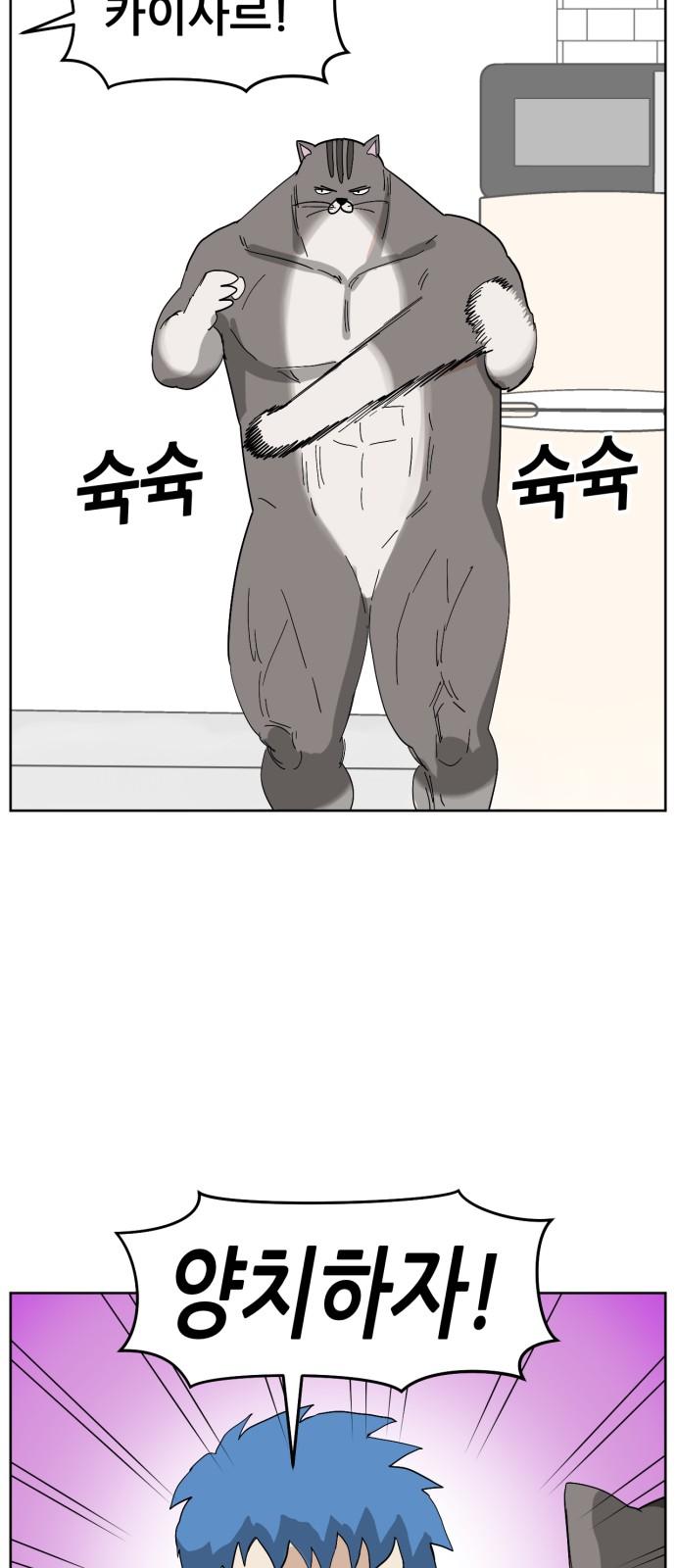 1734102952390l30jqnzate.jpg