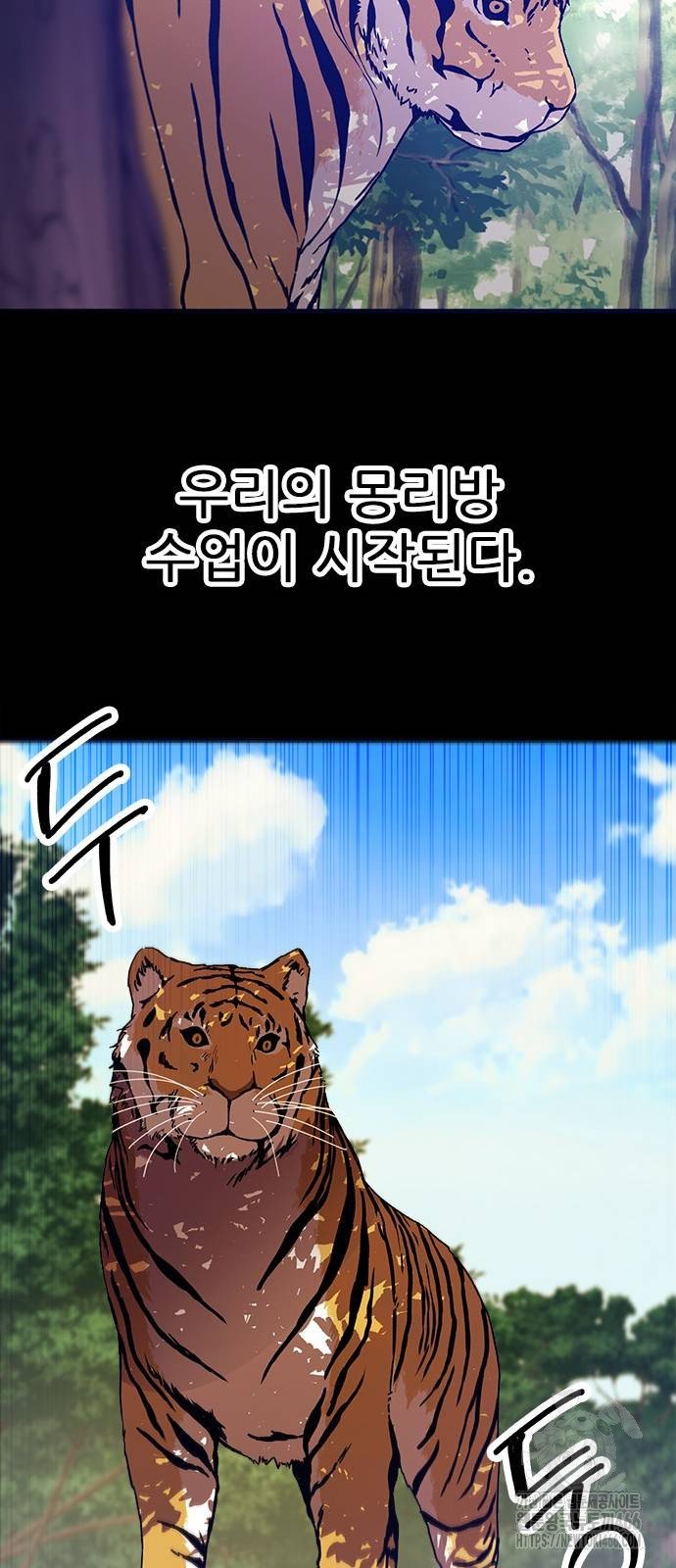 17343425761903v5nitiwetc.jpg