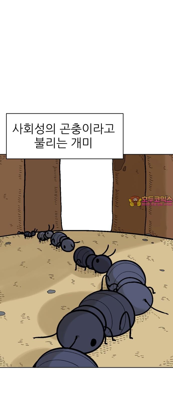 1734473606880meur5jytax.jpg