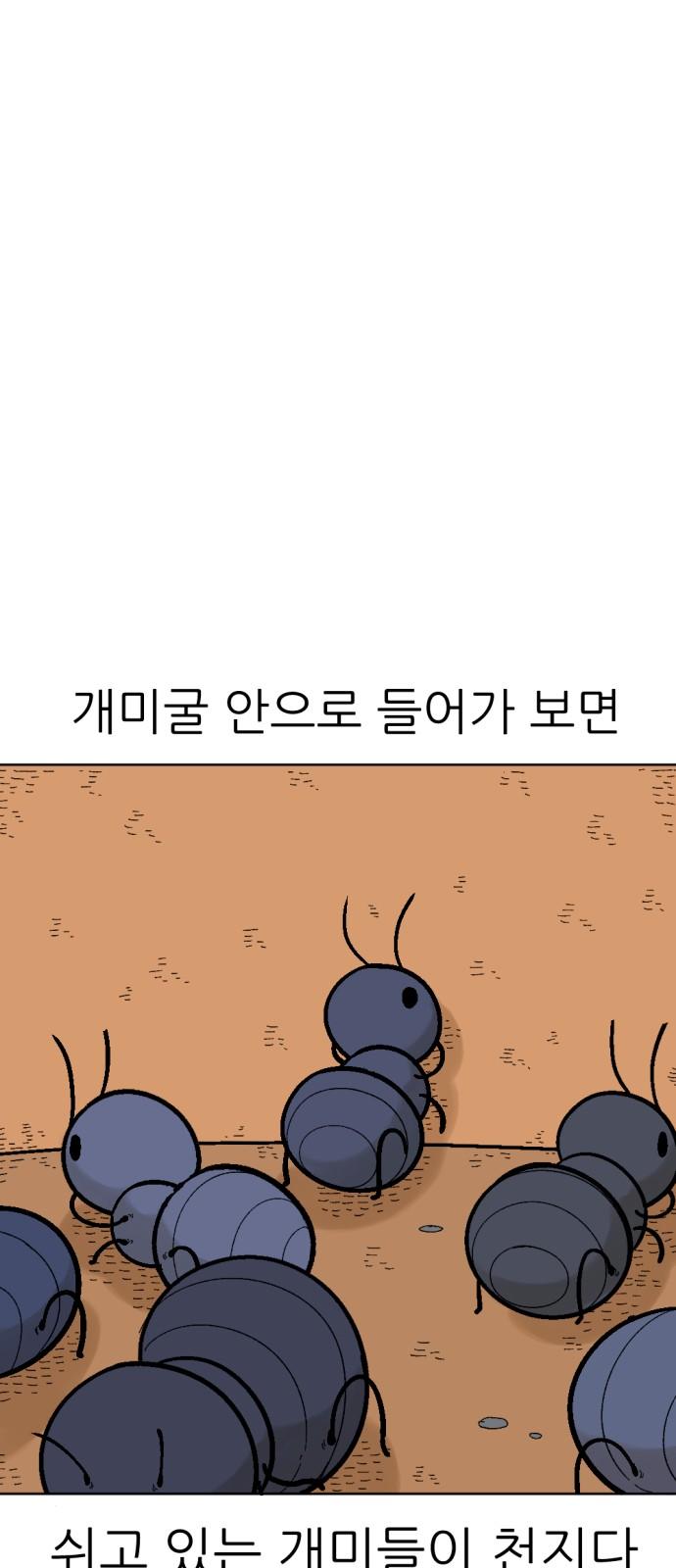 1734473607501ck6bvond4l.jpg