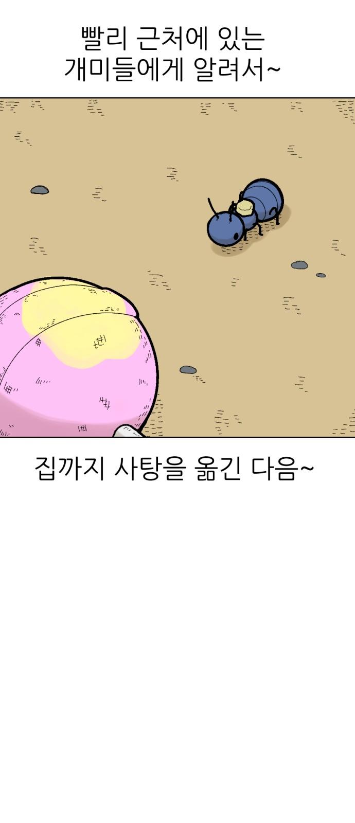 1734473616919128sy48ws89.jpg