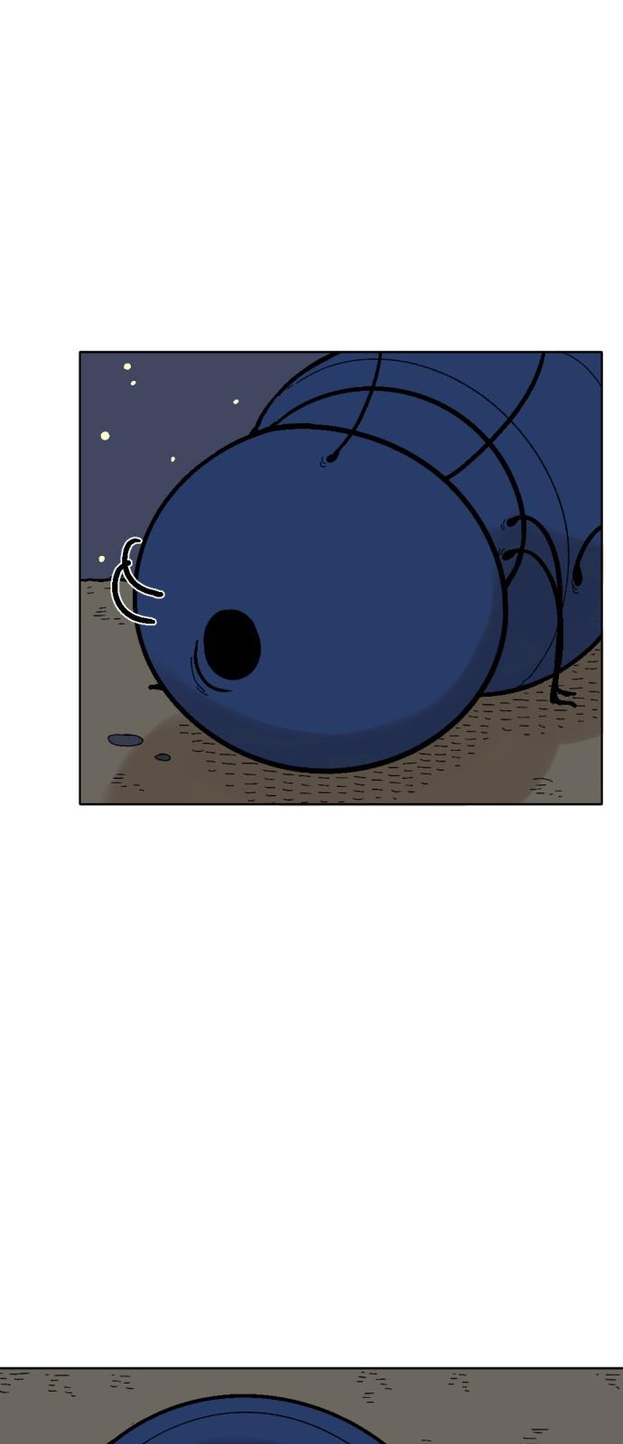 1734473624369x16g29arxl.jpg