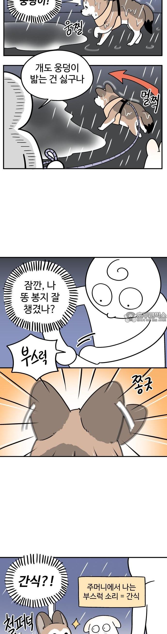 1734520479839zt1uajycgjp.jpg