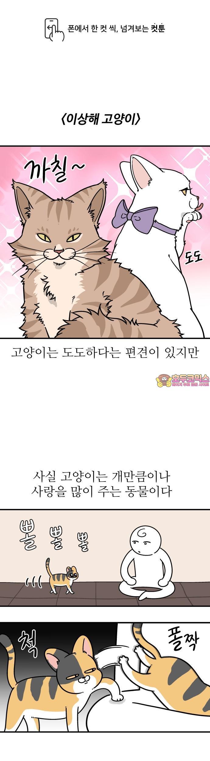 1734520489101y8mzl7imn1.jpg