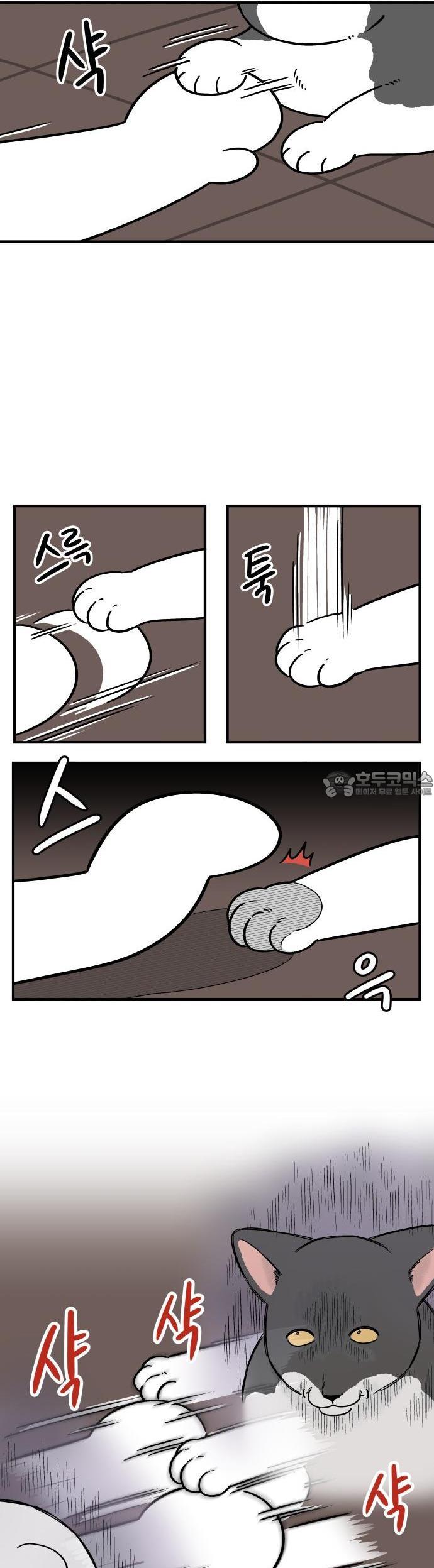17345204900323961bzngu6a.jpg