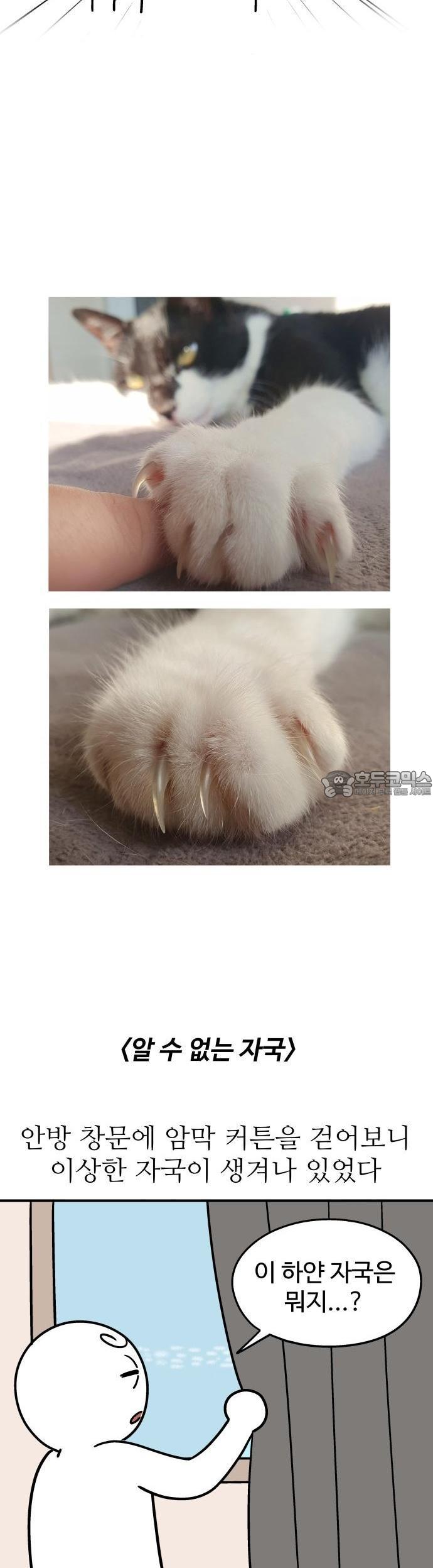 17345204903502l2rh1mki9.jpg