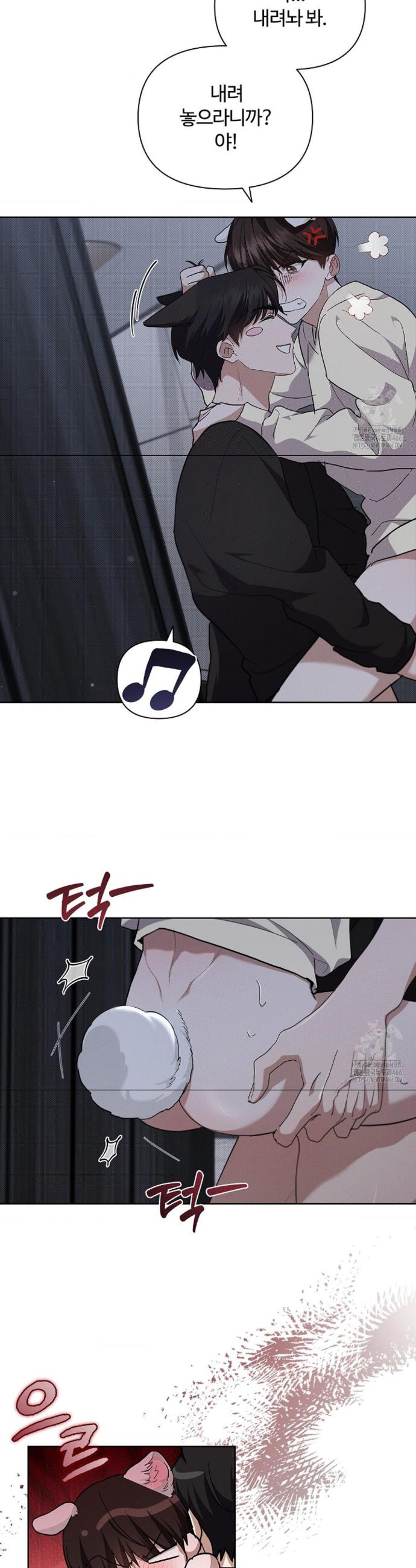 1734903957396pwox3qu1lu8.jpg