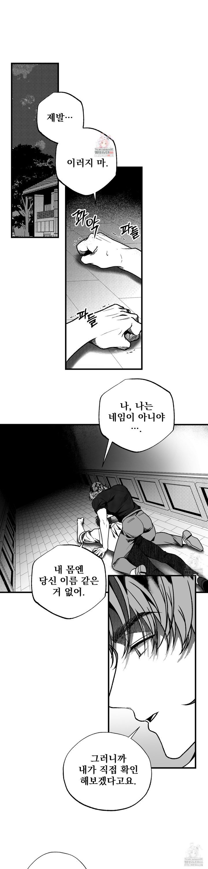 1734904140384hqsxvc8jdn.jpg