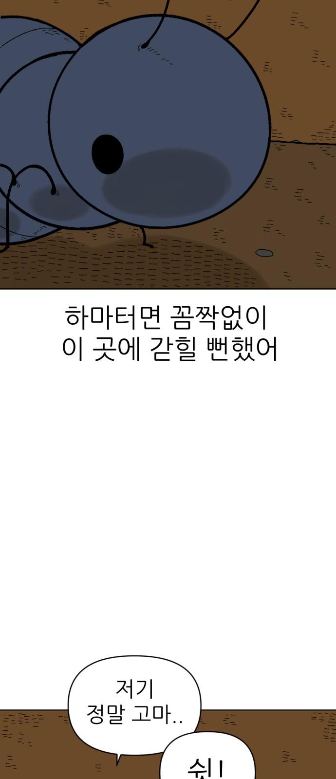 17350772785775eiuzmg2v8.jpg