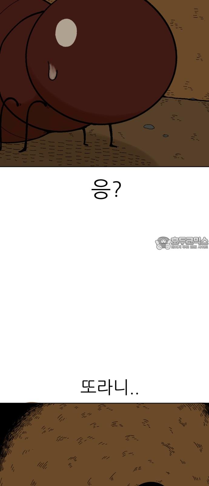 1735077278885jrju88b7jdp.jpg
