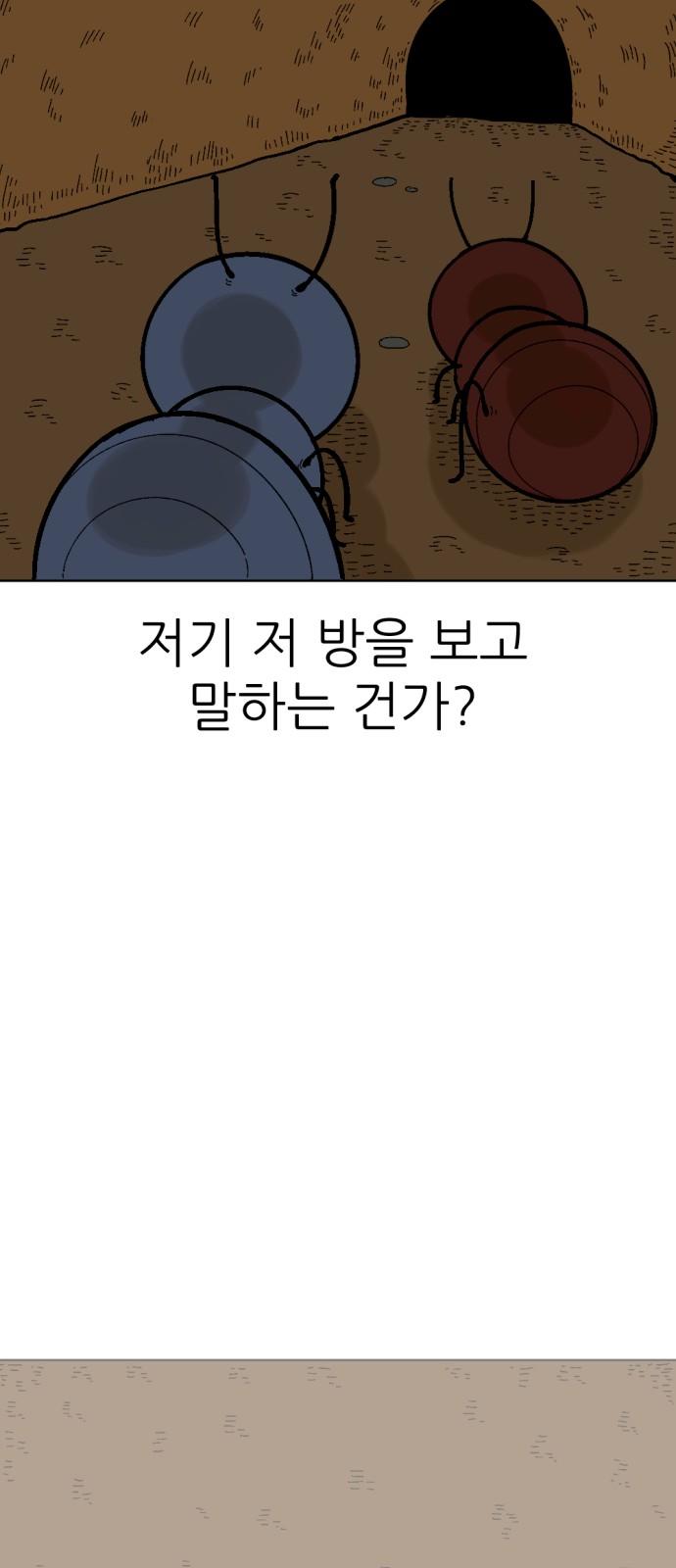 17350772790388zgltbs7jak.jpg