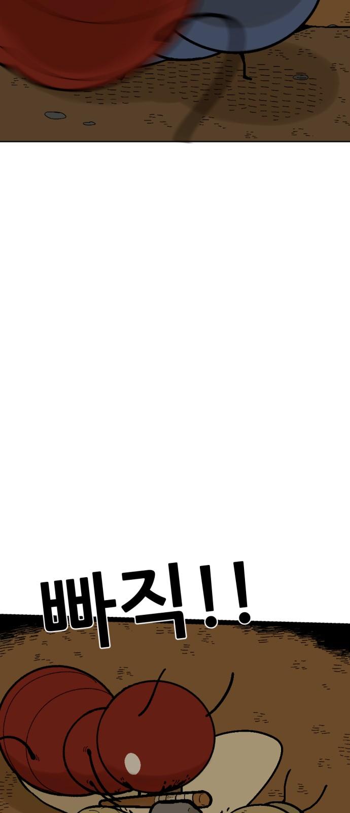 1735077279960yrq0xe57e3g.jpg