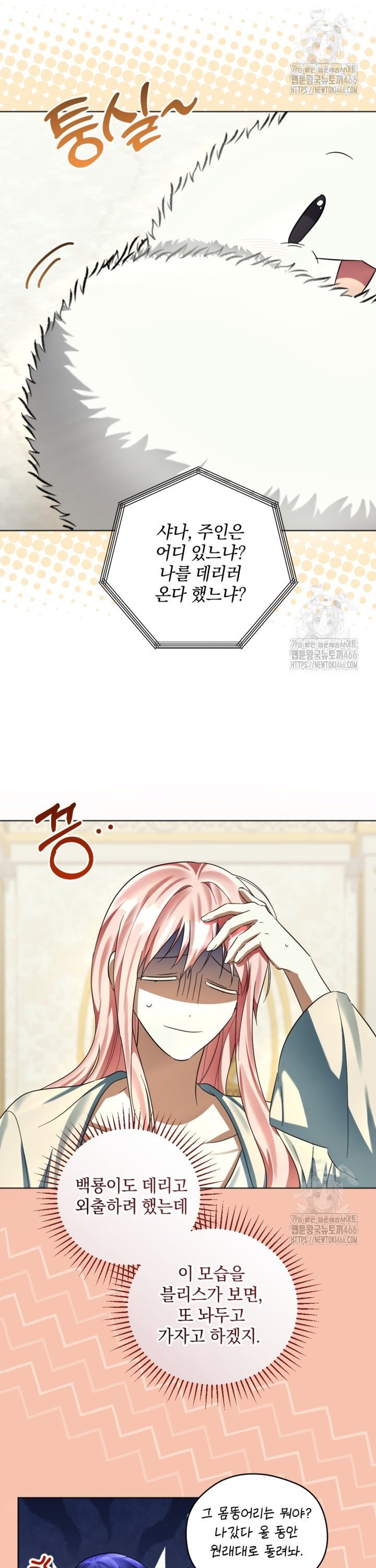 1735162058161itguwt63zoh.jpg