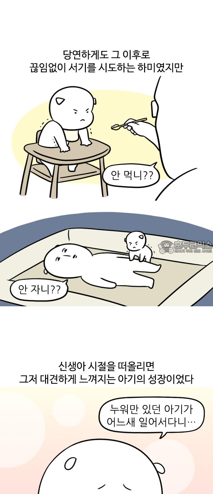 1735162274731qle4e9saxd.jpg