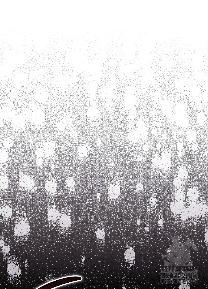 1735164722114fvhlvywkfgp.jpg